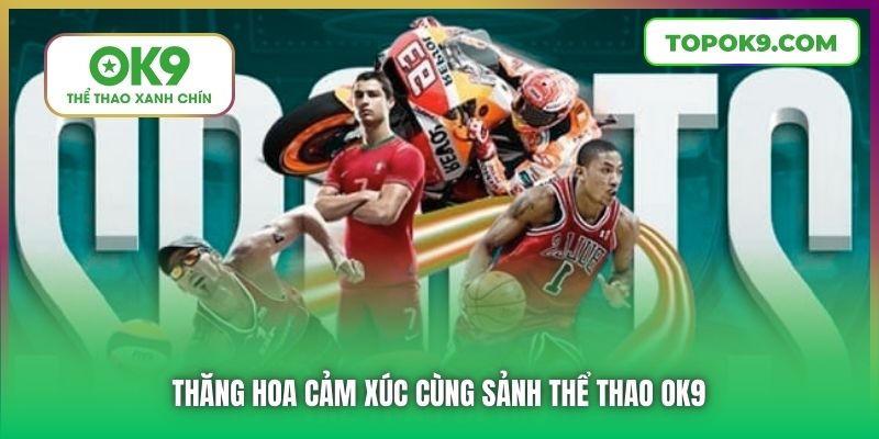 Thăng hoa cảm xúc cùng sảnh Thể Thao OK9